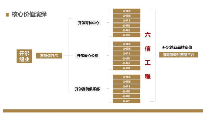 開(kāi)爾鴿業(yè)品牌全案服務(wù)