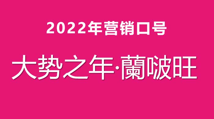 歐賽斯超級(jí)品牌引擎® 新冠軍商業(yè)實(shí)戰(zhàn)案例:蘭啵旺