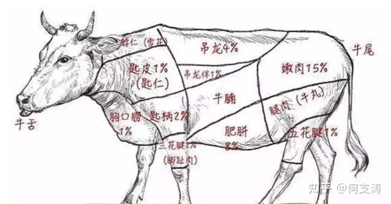 歐賽斯創(chuàng)始人年會演講實錄:作品2023-感動超越