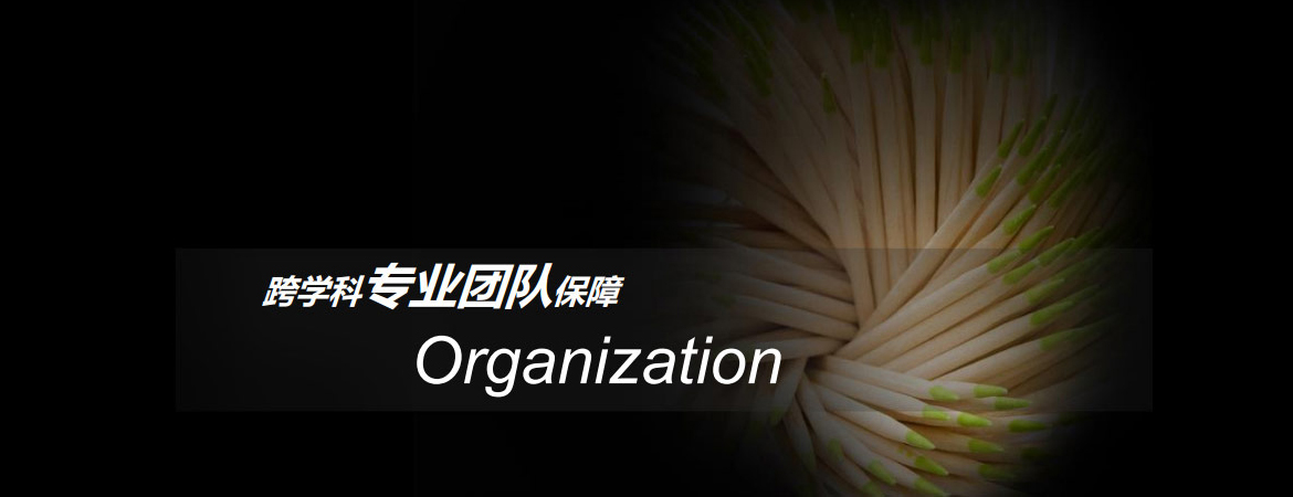 跨學科專業(yè)團隊保障